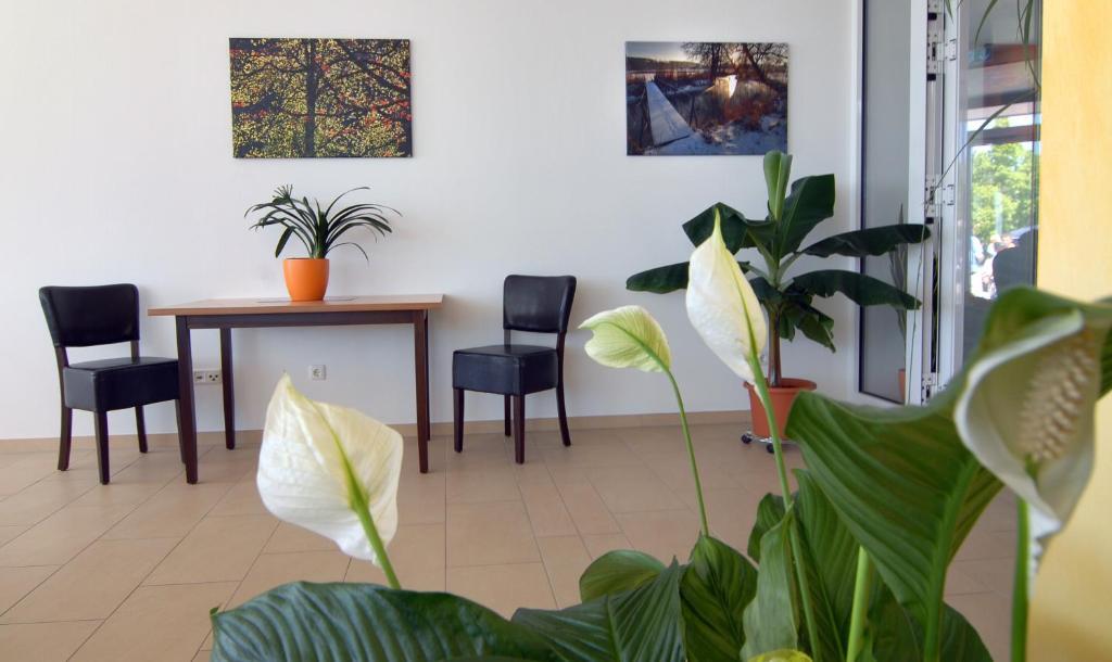 Hotel Frankenhoehe Aurach Dış mekan fotoğraf